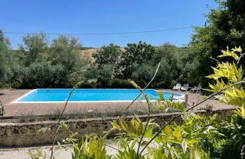 Monte Pagliaio - Foto 10