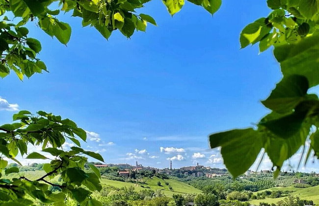 Agriturismo La Corte del Sole - Foto 157