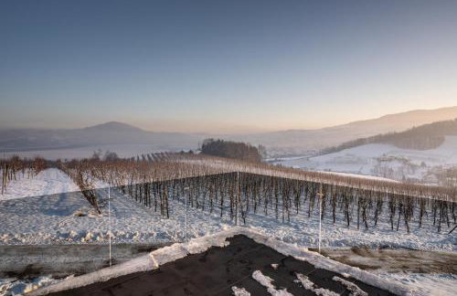 Owocowe Wzgórze - Foto 18