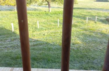 Les hirondelles - Foto 18