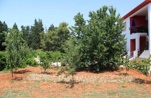 Apartments by the sea Ugljan - 830 - Foto 7