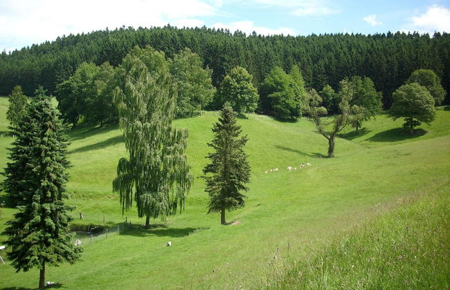 Apartment in Bruchhausen Right on the Fishing River - Foto 63
