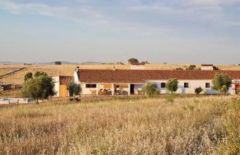 Monte do Arneiro - Foto 70