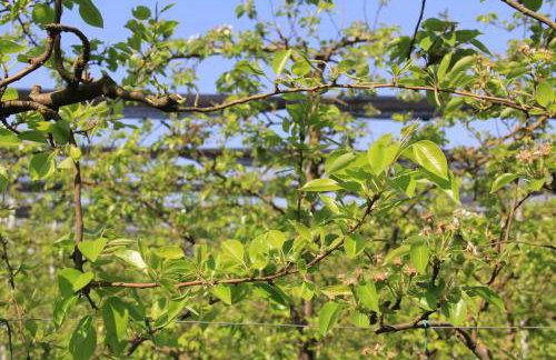 Palazzo Minelli - Foto 61