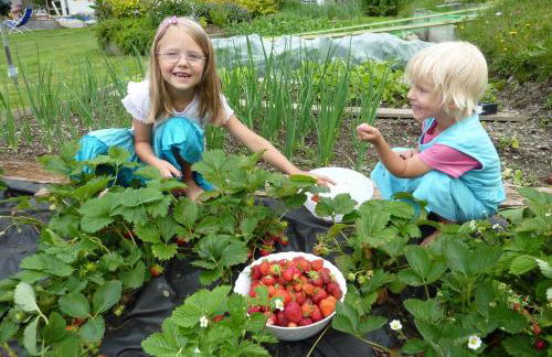 Residence Bannwald - Photo 14