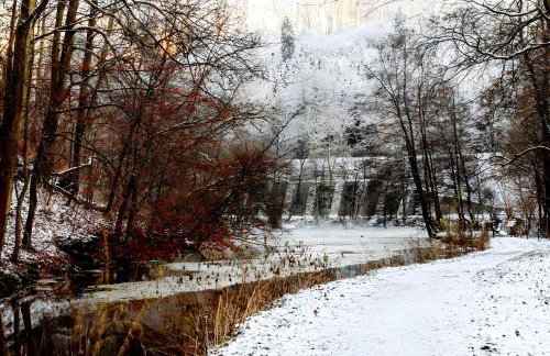 Fewo Waldfeeling - Photo 28