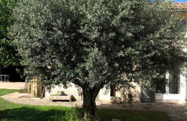 Gîte cocooning climatisé avec piscine et animaux - Foto 10