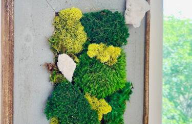 Modern House on 5 acr in Sequoia National Forest - Foto 33