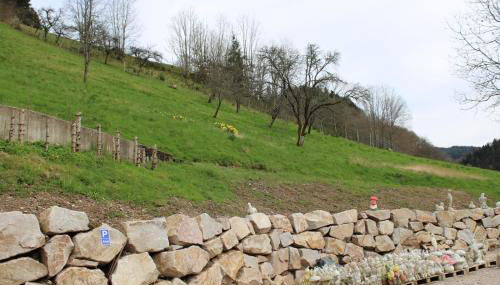 Ferienwohnung Sunshine - Foto 3