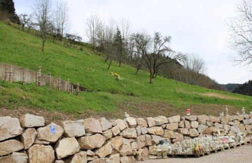 Ferienwohnung Sunshine - Foto 3