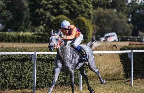 Appartement duplex à Chantilly centre - Foto 6