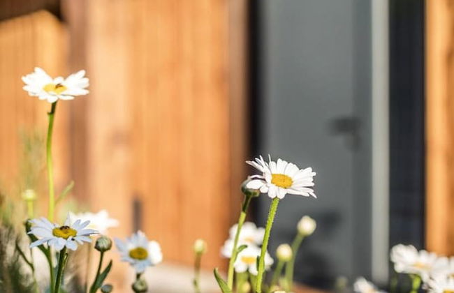 Velk Karlovice Mvh028 - Foto 30