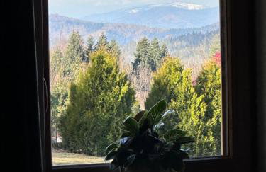 Chata Piechówka - gorąca balia i widok na góry - Foto 46