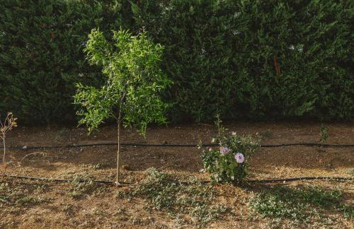 Villa Bella Gonia - Foto 35