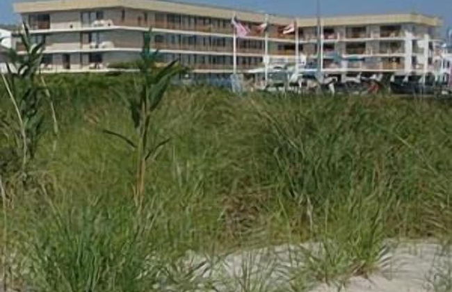 Roman Holiday Motel - Foto 45