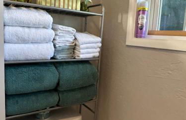 Emerald City 3 Bedroom 1 bath Home - Photo 25