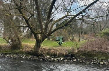 Erholung in der Freiheit - Photo 17