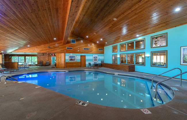 The Rushes - Foto 29