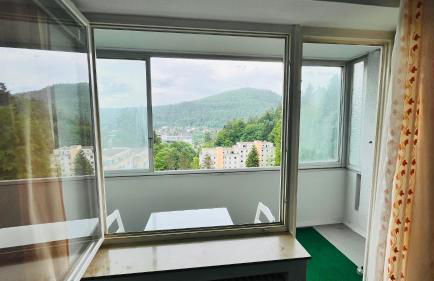 Panorama-Perle I 3-Zimmer-Wohnung mit Aussicht - Photo 7