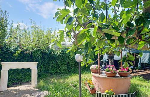 Villa Antonina - Foto 20