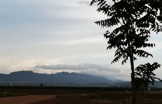 Casa Rural El Llano Quintanilla - Photo 22