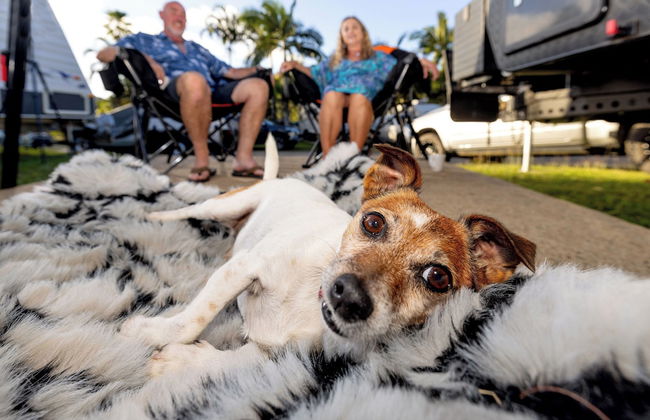 BIG4 Whitsunday Islands Holiday Park - Photo 56
