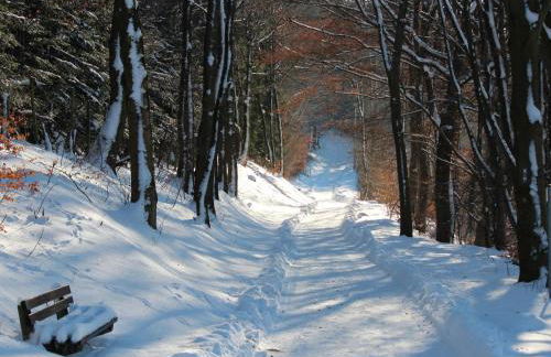 Ferienwohnung Moos-Hochsauerland - Foto 22