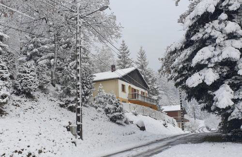 Maison vosgienne proche de la Bresse et Gerardmer - Foto 25