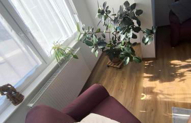 Ferienwohnung Schelklewiese - Photo 15