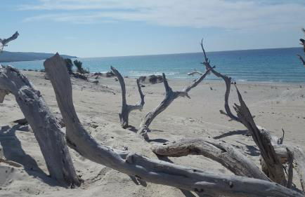 Romantica Corte dei limoni Piscinas - Foto 18