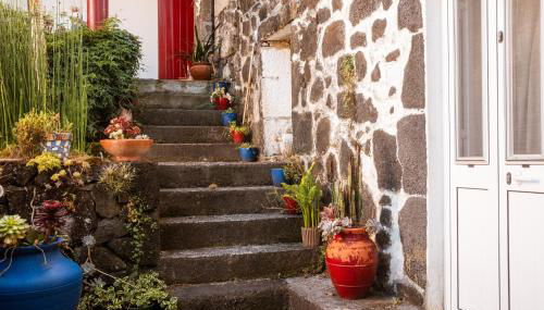 Quinta das Almas - Photo 5