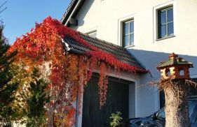 "Heiterer Blick" - Foto 1