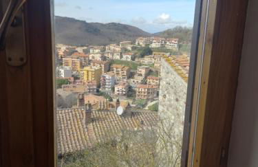 Autenticum Agriturismo Tolfa - Foto 34