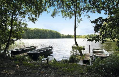 Ferienhaus in der Feldberger Seenlandschaft - Foto 24
