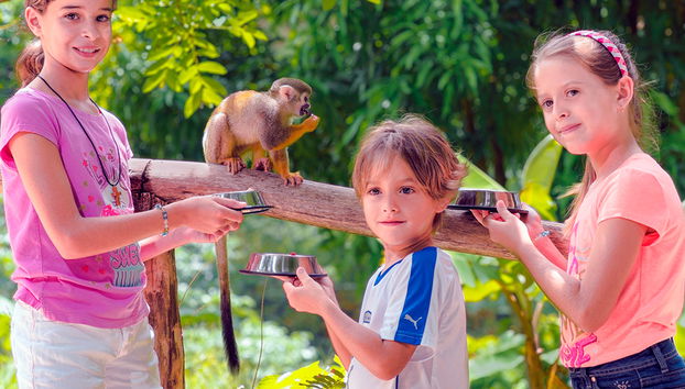 Parque Monkey Land - Foto 3