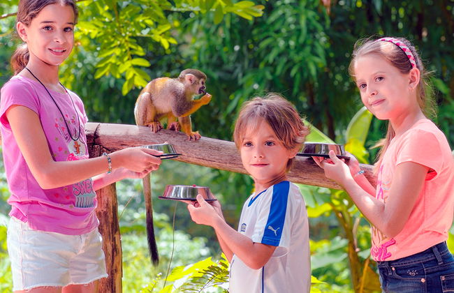 Affenland Safari - Foto 3