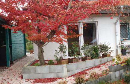 Haus Magnolia 2 - Foto 6