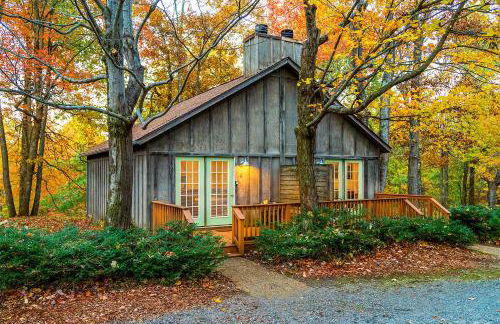 Love Ridge Mountain Lodging - Foto 69