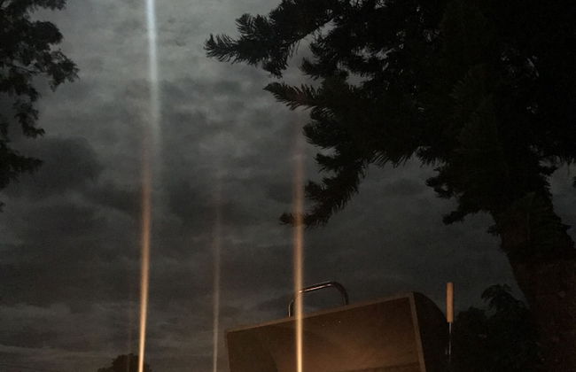 Royal Eco Resort - Photo 16