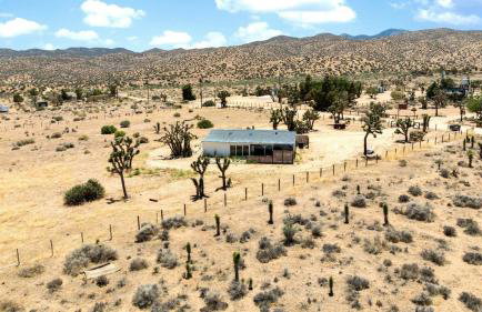 The Whispering Wind Tree - Foto 24