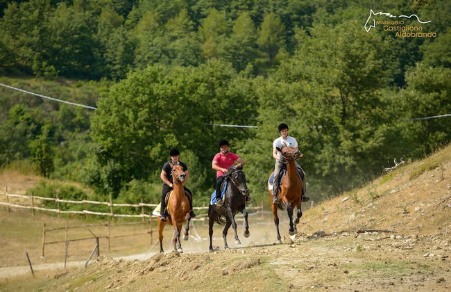 Faro Rosso - Photo 26