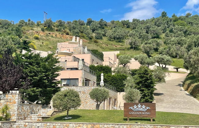 Golden King - Foto 51