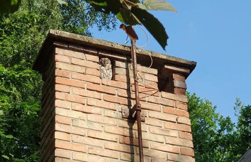 Leśny Zakątek - Foto 28