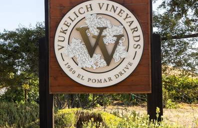 Serene Vineyard•Deck, Pickleball, Views~ Near Town - Foto 37