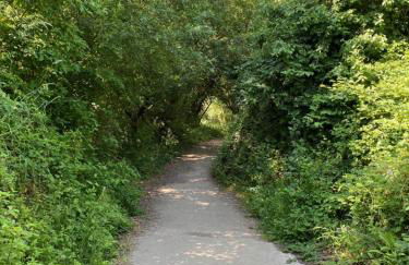 La petite maison zone coulée verte menant a l'océan - Photo 36