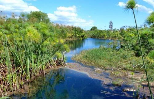 Don Pasqualino - Foto 19