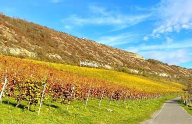 Ferienhaus Zur alten Korbmacherei - Foto 37