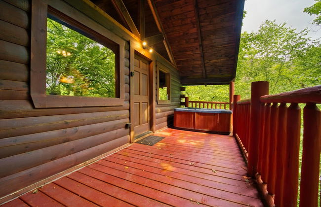 Mountain Laurel - Foto 16