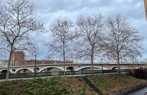 T2 cosy avec vue Pont des Catalans-Saint Cyprien - Foto 13