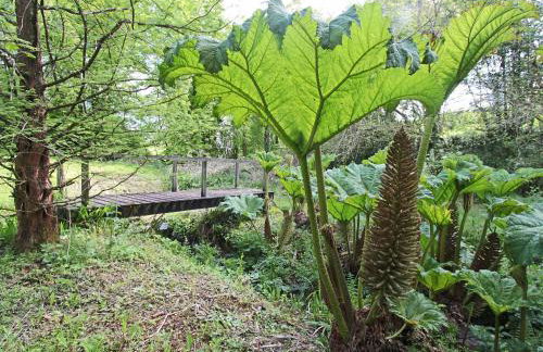 Passion Flower Cottage - E1468 - Foto 15